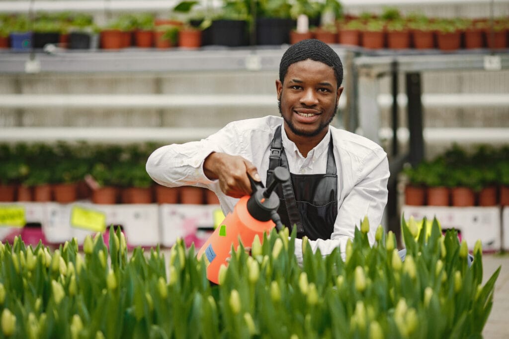 Beginner gardening in Nairobi with fresh plants and lawn care tools.