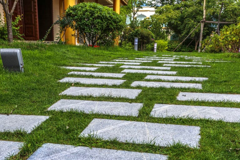 Lawn care Nairobi tips for healthy grass and efficient watering