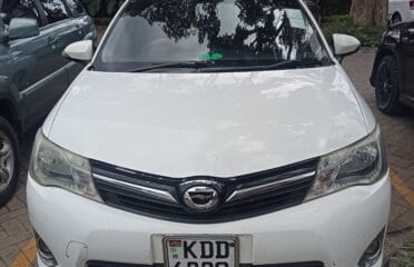 Kate Professional Cab Driver